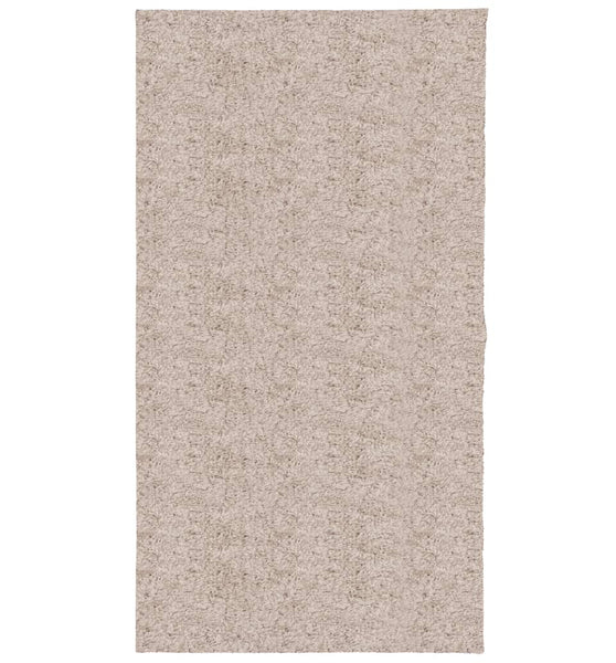 Shaggy-Teppich PAMPLONA Hochflor Modern Beige 80x150 cm