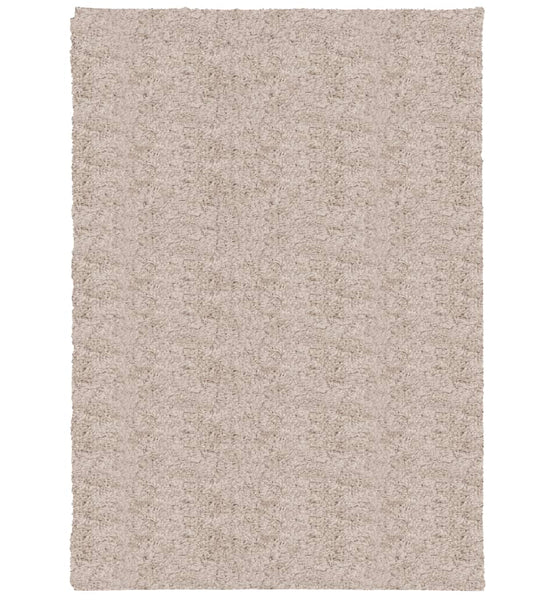 Shaggy-Teppich PAMPLONA Hochflor Modern Beige 120x170 cm