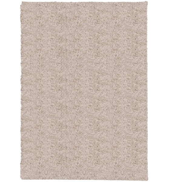 Shaggy-Teppich PAMPLONA Hochflor Modern Beige 200x280 cm