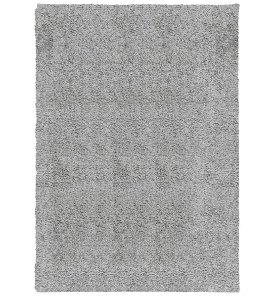 Shaggy-Teppich PAMPLONA Hochflor Modern Grau 120x170 cm