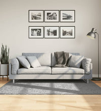 Shaggy-Teppich PAMPLONA Hochflor Modern Grau 120x170 cm