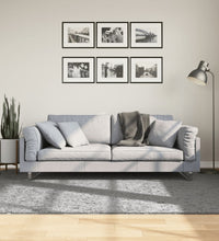 Shaggy-Teppich PAMPLONA Hochflor Modern Grau 160x230 cm