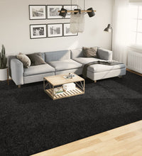 Shaggy-Teppich PAMPLONA Hochflor Modern Schwarz 300x400 cm