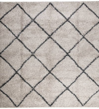 Shaggy-Teppich Hochflor Modern Beige Anthrazit 120x120 cm