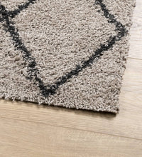 Shaggy-Teppich Hochflor Modern Beige Anthrazit 120x120 cm