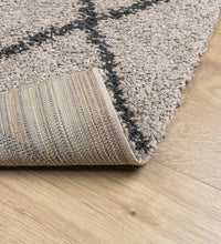 Shaggy-Teppich Hochflor Modern Beige Anthrazit 120x120 cm