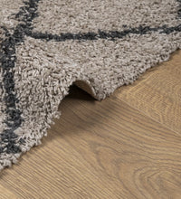 Shaggy-Teppich Hochflor Modern Beige Anthrazit 120x120 cm