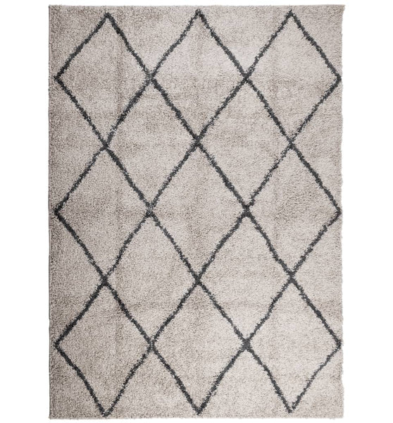 Shaggy-Teppich Hochflor Modern Beige Anthrazit 200x280 cm