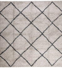 Shaggy-Teppich Hochflor Modern Beige Anthrazit 240x240 cm