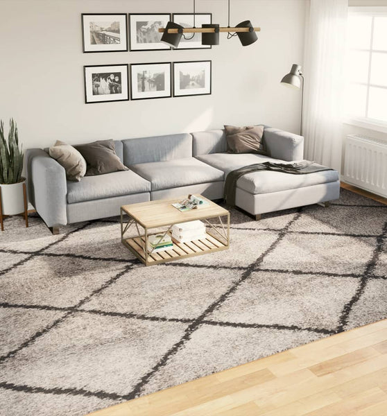 Shaggy-Teppich Hochflor Modern Beige Anthrazit 300x400 cm