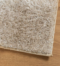 Teppich ISTAN Hochflor Glänzend Beige 120x170 cm