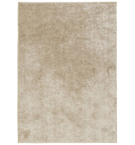 Teppich ISTAN Hochflor Glänzend Beige 140x200 cm