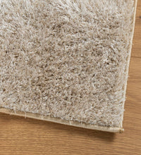 Teppich ISTAN Hochflor Glänzend Beige 160x230 cm