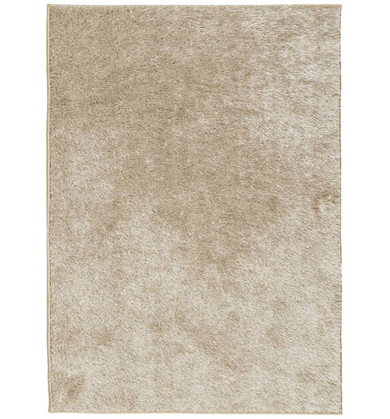 Teppich ISTAN Hochflor Glänzend Beige 240x340 cm