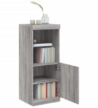 Sideboard mit LED-Leuchten Grau Sonoma 41x37x100 cm