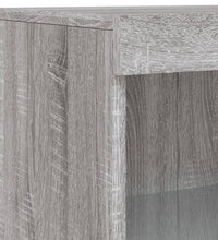 Sideboard mit LED-Leuchten Grau Sonoma 60,5x37x100 cm